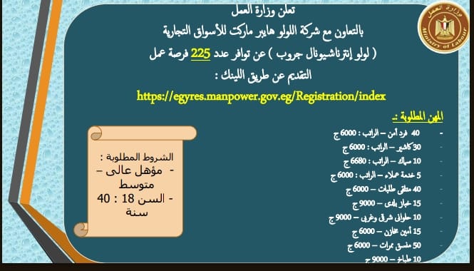 وزير القوى العامله 